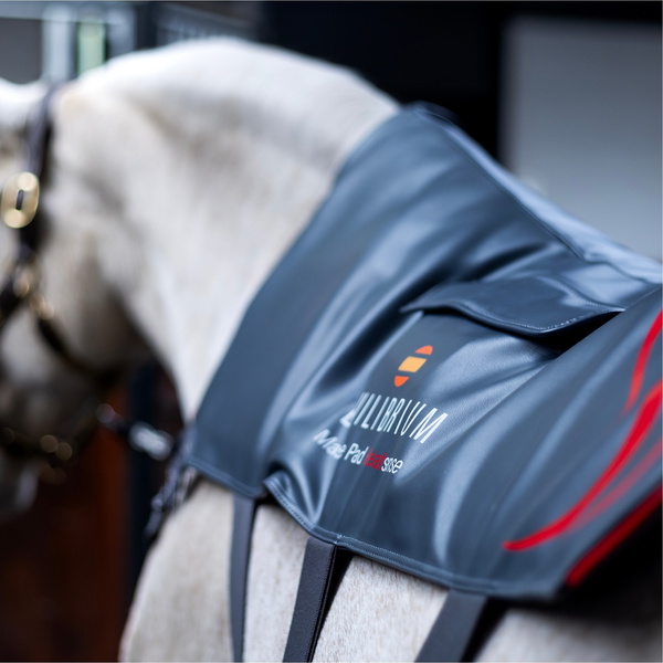 2025 Equilibrium Heatsense Horse Massage Pad 35864 - Grey